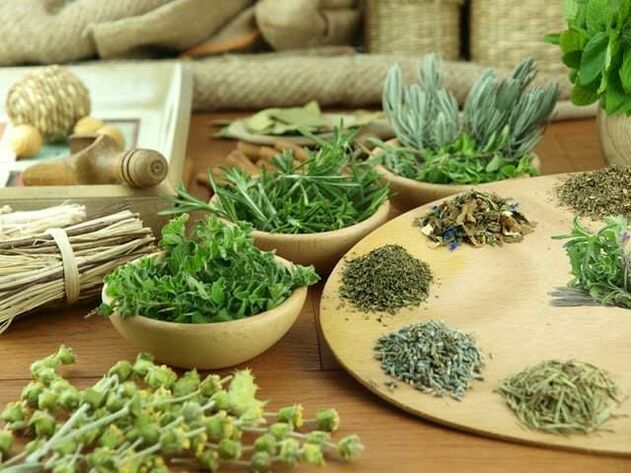 Phytothérapie de puissance